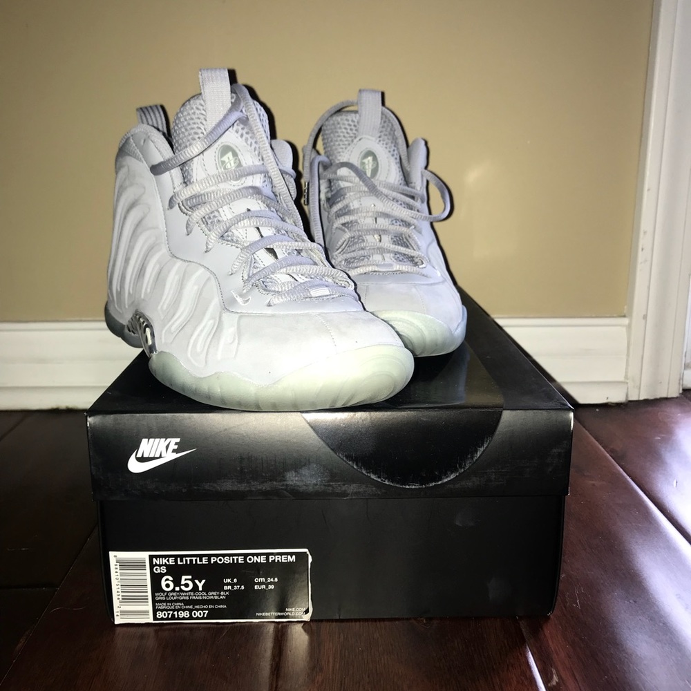 Cool Grey Lil Posite Foamposite